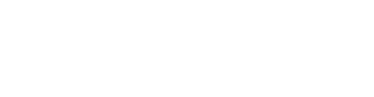 Nura CAE