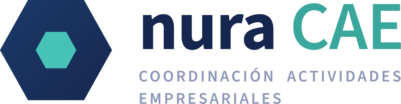 Nura CAE